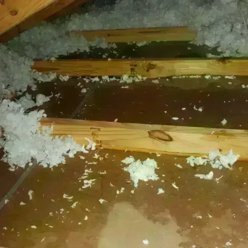 Attic Water Damage in Chattanooga Valley, GA