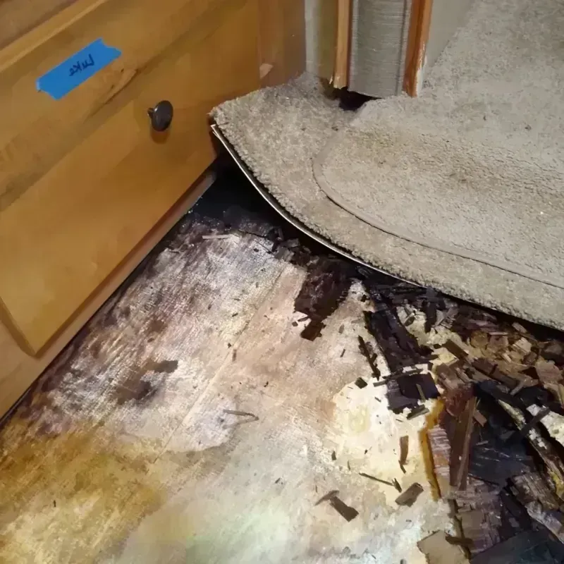 Best Wood Floor Water Damage Service in Chattanooga Valley, GA